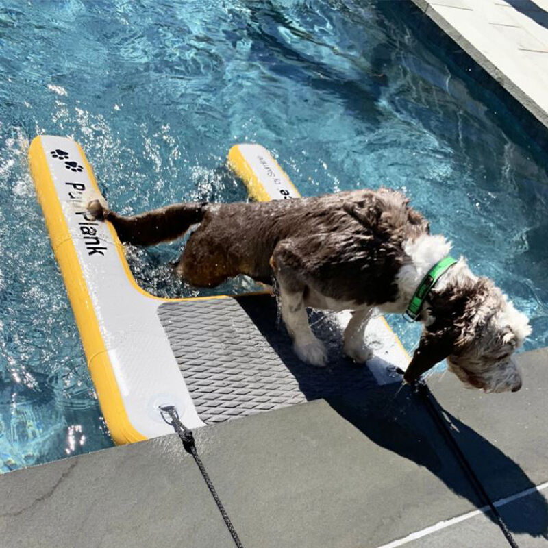 Solstice XL Inflatable Pup Plank image number 5