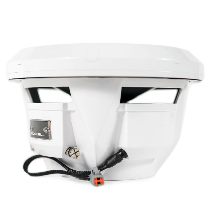 Roswell R1 Series 10" Subwoofer image number 3