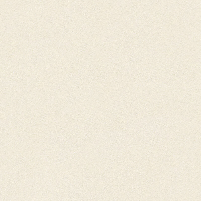 Tiffin FS6087 Tandem Axle Fender Skirt, Colonial White image number 8