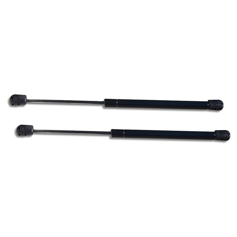 Pneumatic Lid Lifts for Dock Boxes image number 1