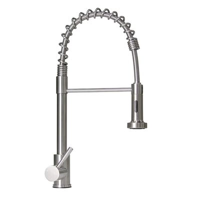 Lippert Flow Max Coiled Pull-Down Kitchen Faucet, Stainless Steel