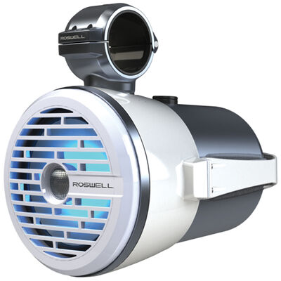 Roswell R1 8" Tower Speaker