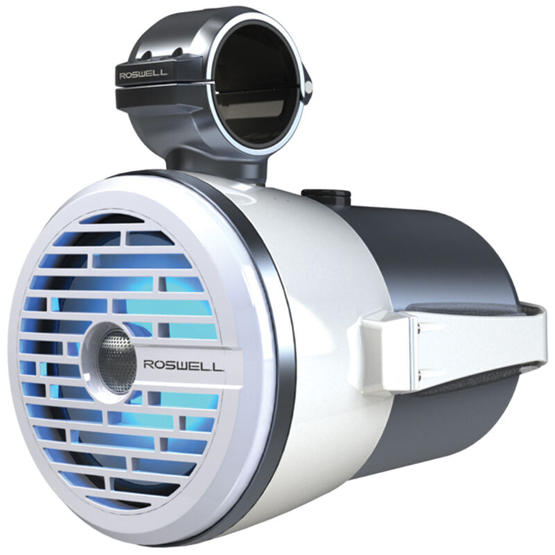 Roswell R1 8" Tower Speaker image number 1