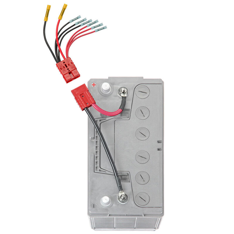 Connect Ease 12-Volt Multi-Application (4) Connection Kit, Lithium Compatible image number 1