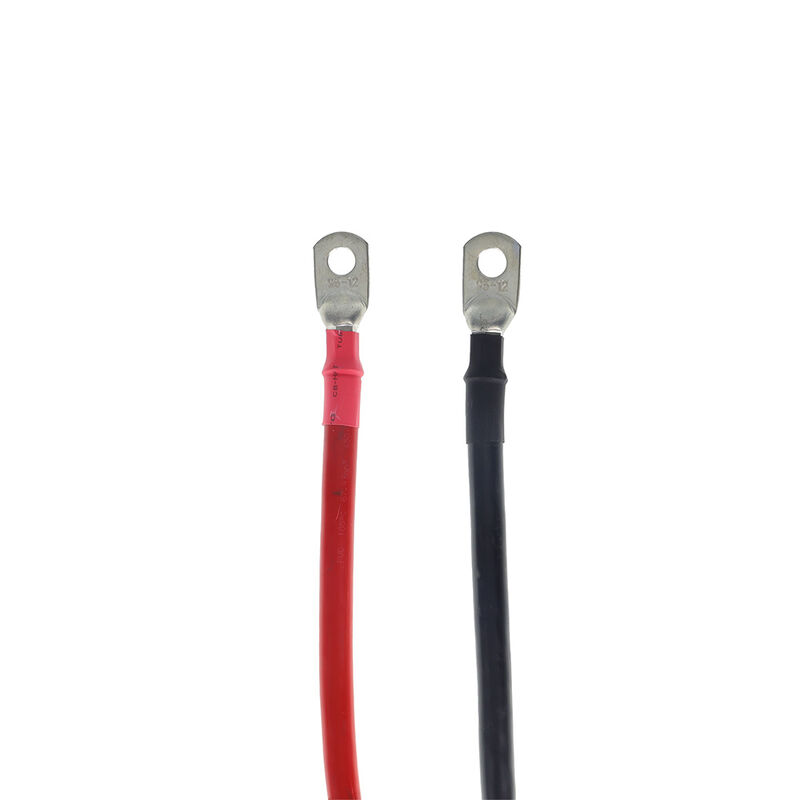 Cummins Installation Cable Kit for 4000W and 5000W Inverters image number 1