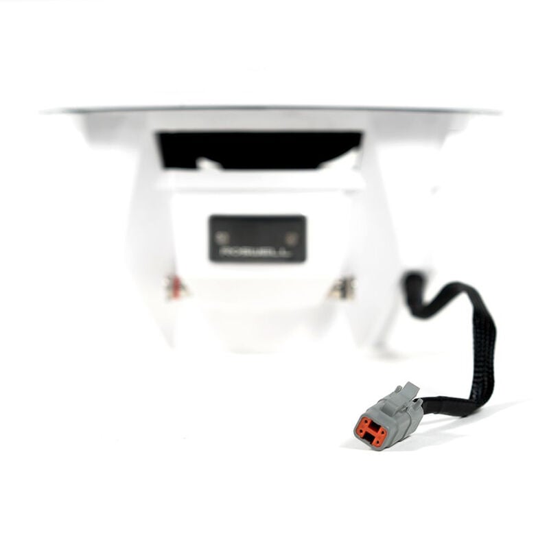 Roswell R1 Series 10" Subwoofer image number 4