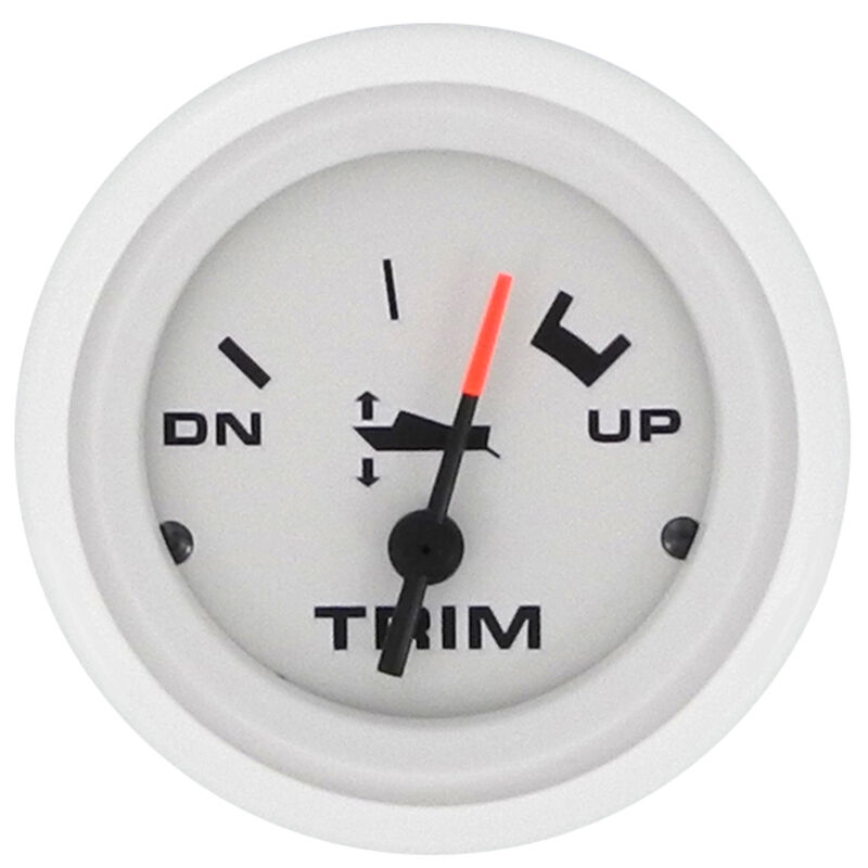 Sierra 2" Arctic Trim Gauge image number 1