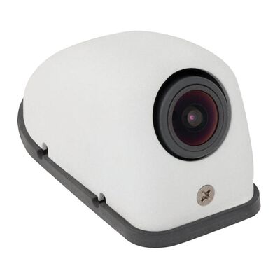 Voyager Color Side Body Observation Camera, Gray Left-Side Camera