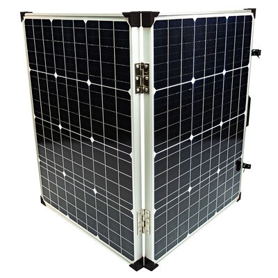 LION Energy 100W 12V Solar Panel
