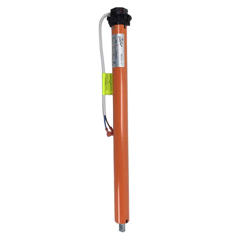 Carefree of Colorado R001862 Awning Motor, LH image number 2