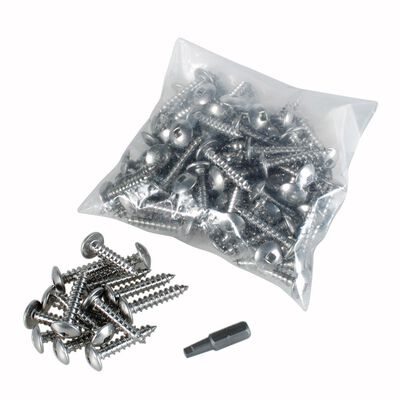 Stainless Steel Mounting Screws