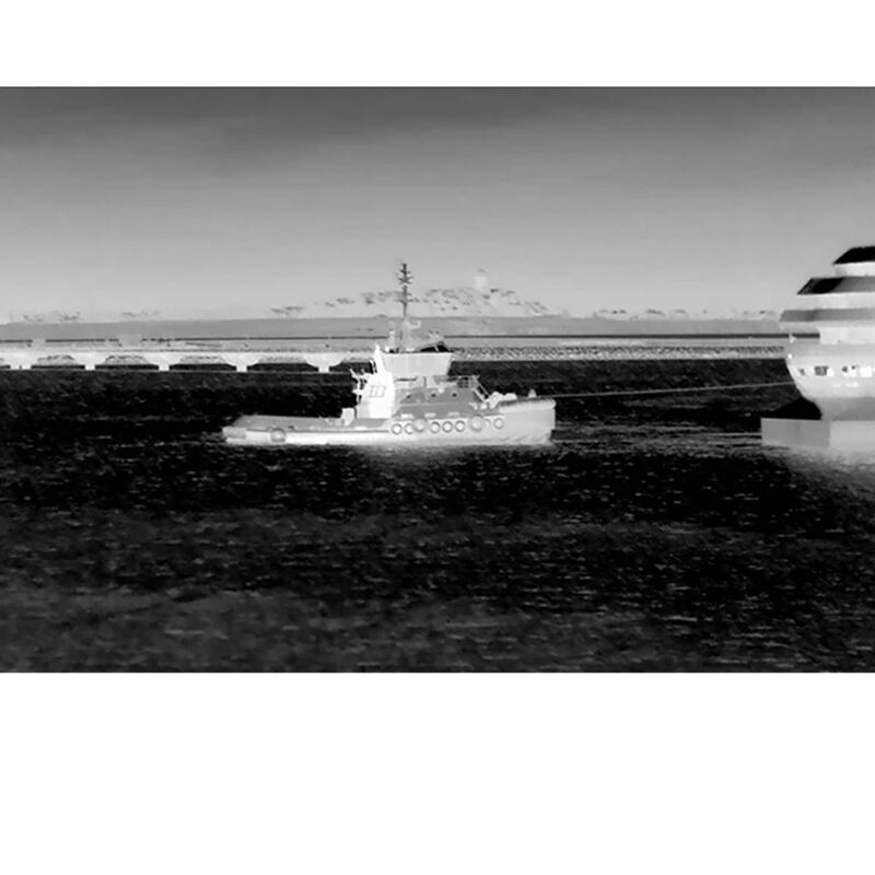 FLIR M332 Marine Thermal Cameras with Active Gyro-Stablization image number 1