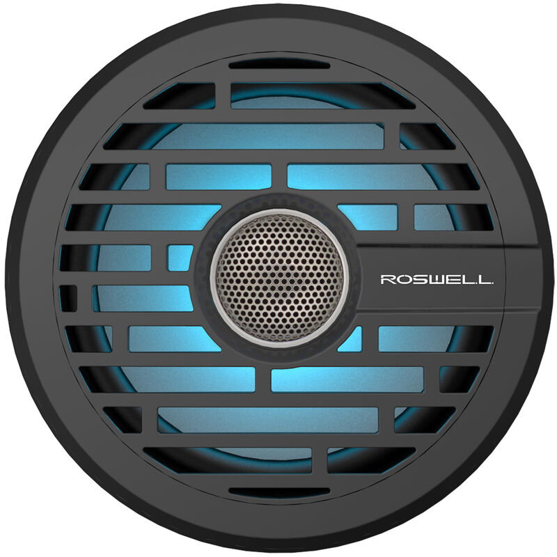 Roswell R1 6.5" In-Boat Speaker - Black image number 1