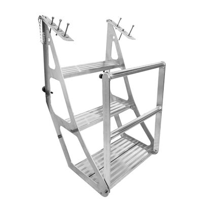 Tooner II Pontoon Ladder