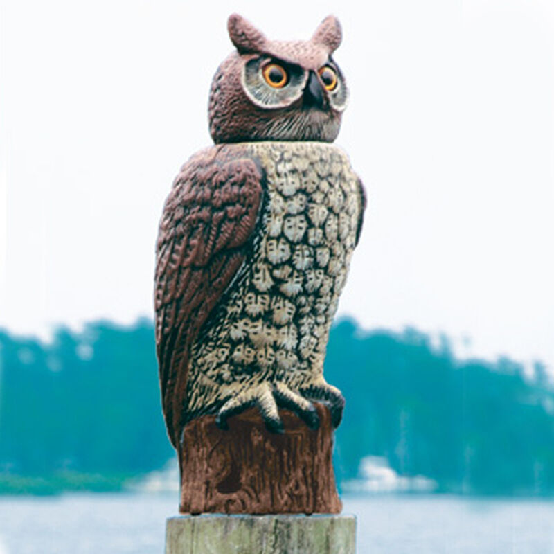 SOL-R Action Great Horned Owl image number 1