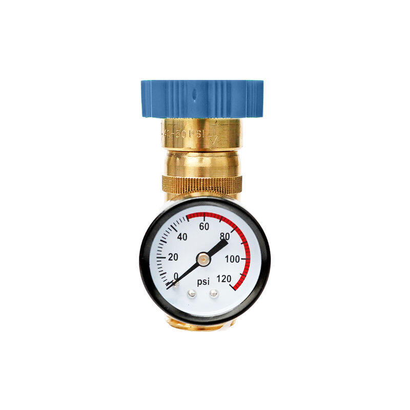 RV360 Water Pressure Regulator with Gauge, 40-50 PSI image number 2