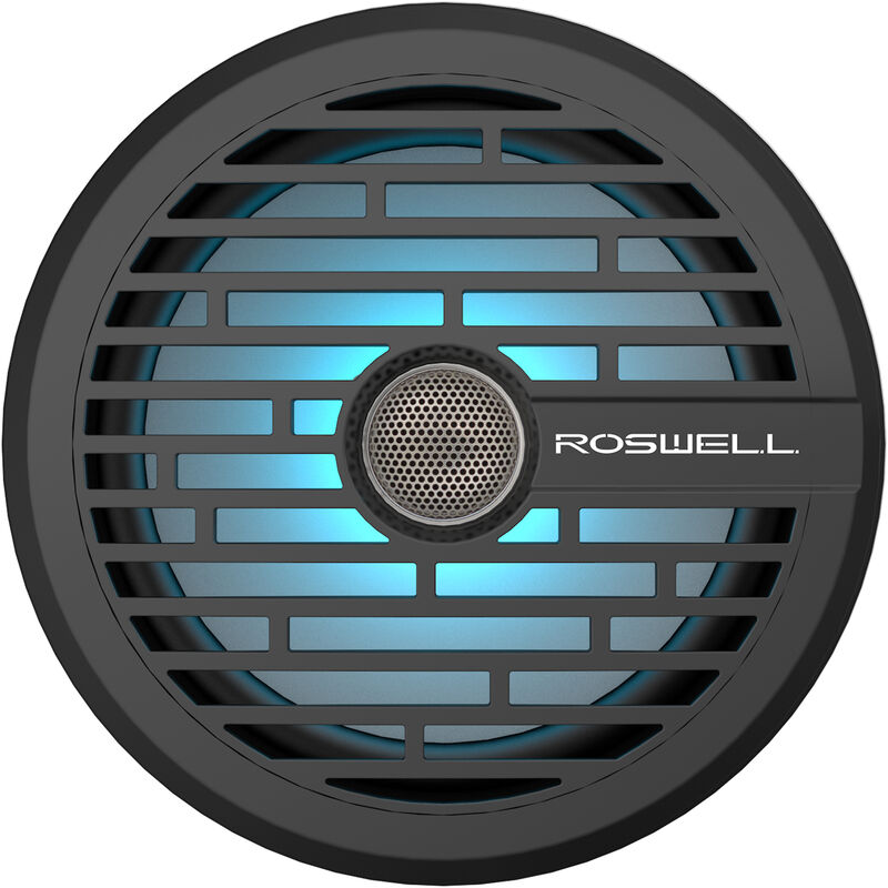 Roswell R1 8" In-Boat Speaker - Black image number 1