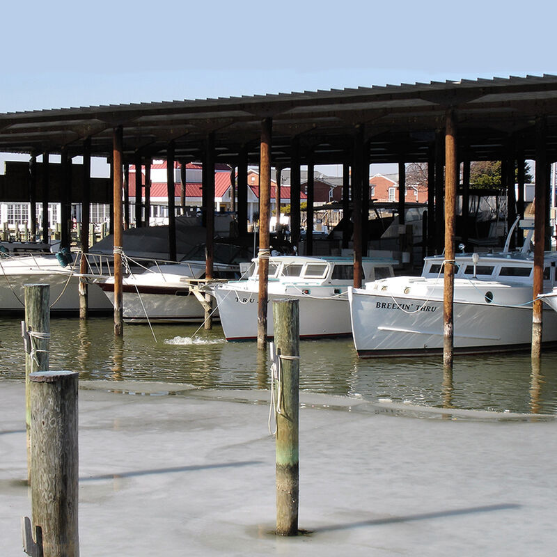 Ice Eater P750 with 25' Cord image number 6